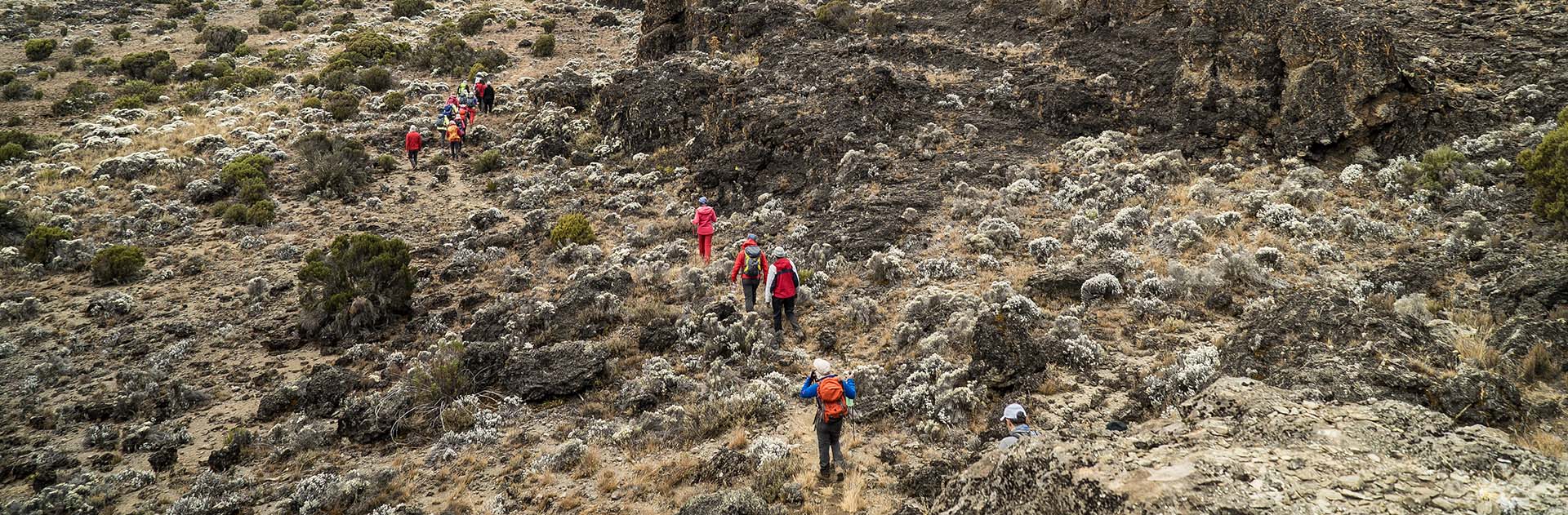 Mount Kilimanjaro adventure